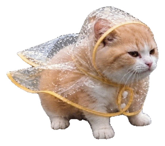 Poncho